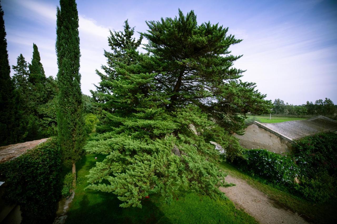 Masseria Perronello Country House Castellaneta Marina Extérieur photo